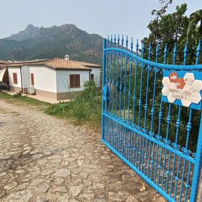 Domu abi manna Tertenia